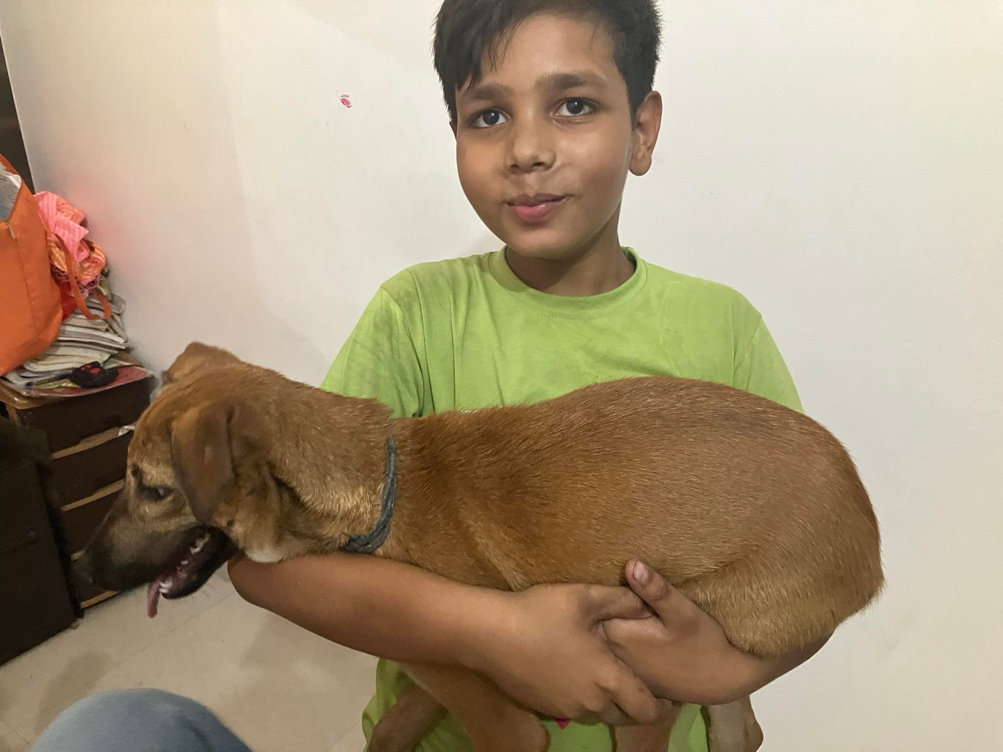 दिगंत शुक्ल