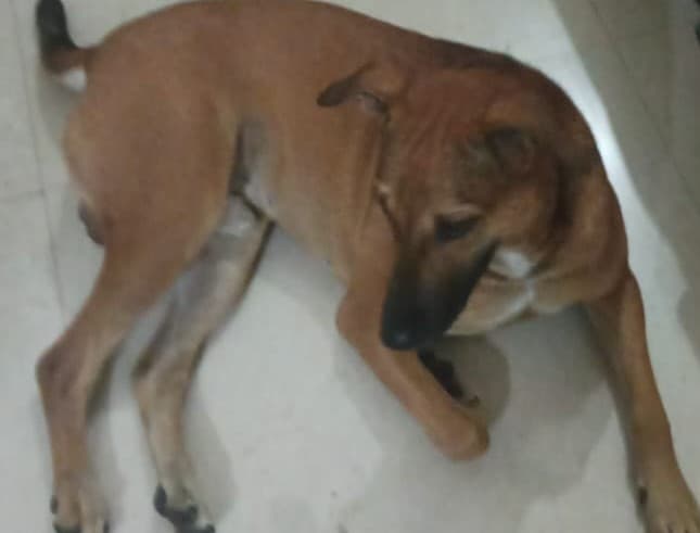 आप मज़दूरों के बीच अगर वक्त नहीं गुजारेंगे तो सरकार द्वारा पेले जाने पर मध्य-वर्ग ही तो चिल्ल-पों मचाएंगा, क्यों सत्यम?