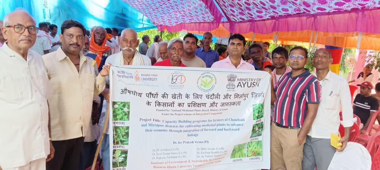 औषधीय पौधों की करें खेती-पाएं उत्तम स्वास्थ्य और रुपइया, बीएचयू के वैज्ञानिक कर रहे हैं मदद