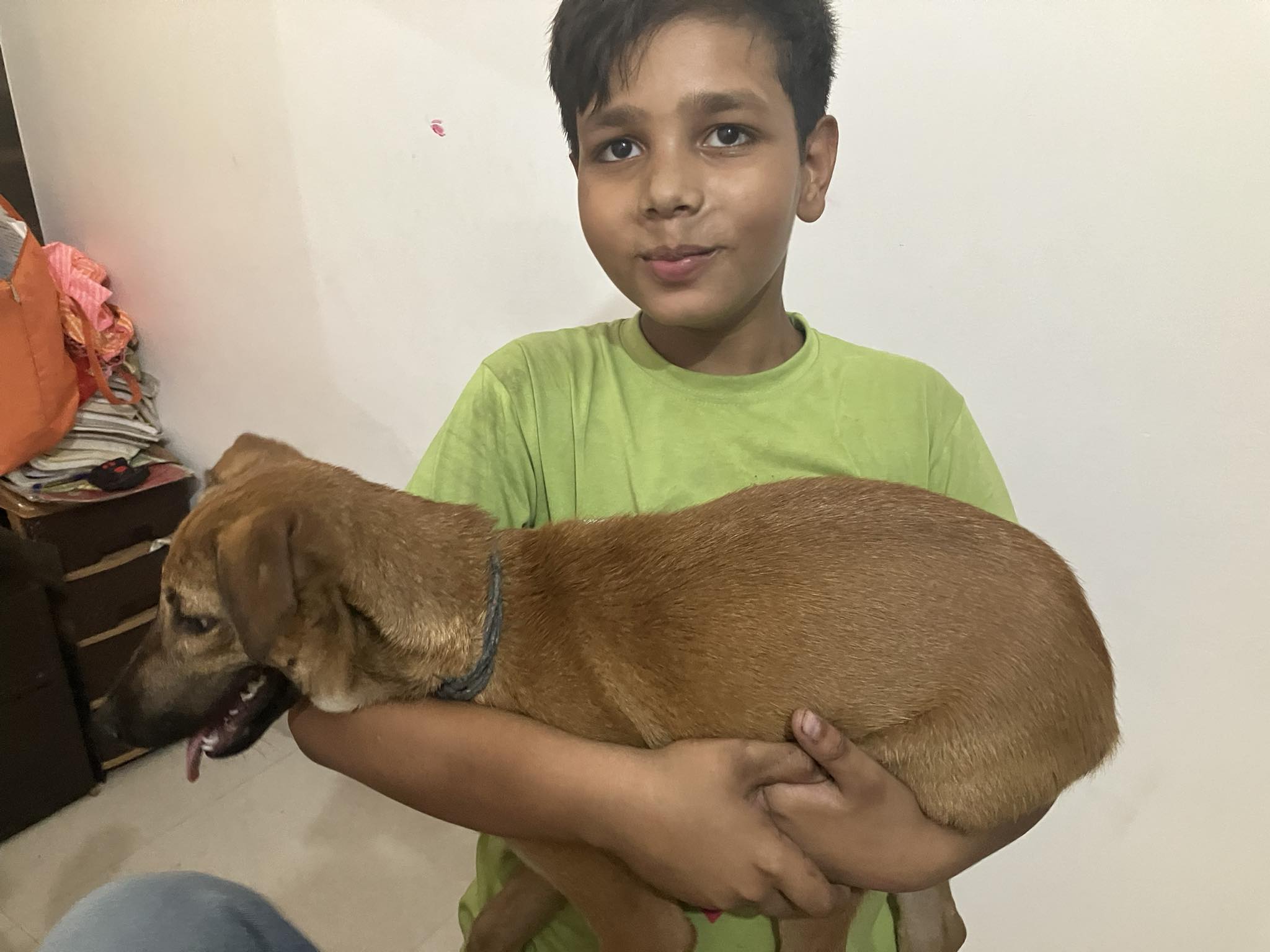 दिगंत शुक्ल